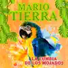 Mario Tierra - La Cumbia de los Mojados - Single