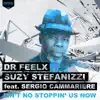 Dr Feelx & Suzy Stefanizzi - Ain't No Stoppin' Us Now (feat. Sergio Cammariere)